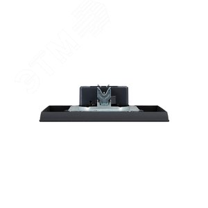 BRITE Розетка 2-местная без заземления с защитными шторками 10А в сборе РСш12-2-БрГ графит IEK - фото 5