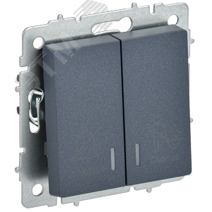 BRITE Выключатель 2-клавишный с индикацией для отелей 10А ВС10-2-9-БрМ маренго IEK - фото 1