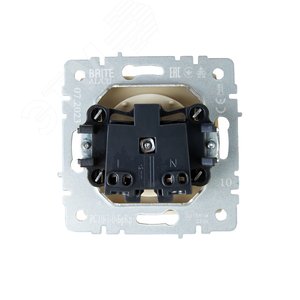 BRITE Розетка без заземления без защитных шторок 10А РС10-1-0-БрКр бежевый - фото 4