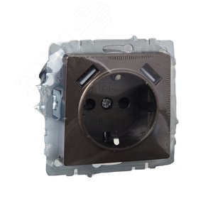 BRITE Розетка с заземлением с защитными шторками 16А с USB A+A 3,1А РЮш10-2-БрТБ бронза - фото 6
