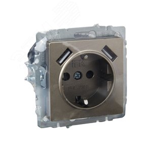 BRITE Розетка с заземлением с защитными шторками 16А с USB A+A 2,1А РЮш10-1-БрШ шампань - фото 6