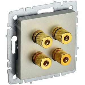 BRITE Аудиорозетка 4 поста РА10-БрШ шампань - фото 1