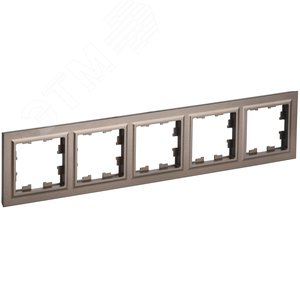 BRITE Рамка 5 постов РУ-5-БрТБ бронза - фото 1