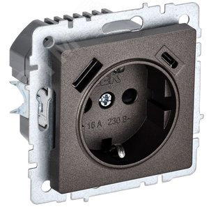 Изображение товара BRITE Розетка с заземлением с защитными шторками 16А с USB A+C 18Вт РЮш11-1-БрТБ бронза (шт)