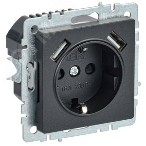 Изображение товара BRITE Розетка с заземлением с защитными шторками 16А с USB A+A 2,1А РЮш10-1-БрЧ черный (шт)