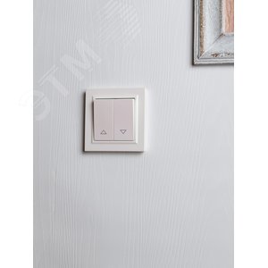 BRITE Выключатель жалюзи 10А ВС10-1-5-БрЖ жемчуг - фото 7