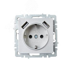 BRITE Розетка с заземлением с защитными шторками 16А с USB A+A 2,1А РЮш10-1-БрА алюминий - фото 2