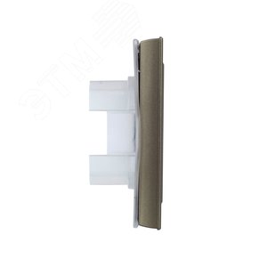 BRITE Рамка 1 пост IP44 РУ-1-БрШ-44 шампань - фото 3