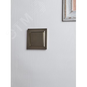 BRITE Выключатель одноклавишный перекрестный 10А ВС10-1-3-БрШ шампань - фото 7