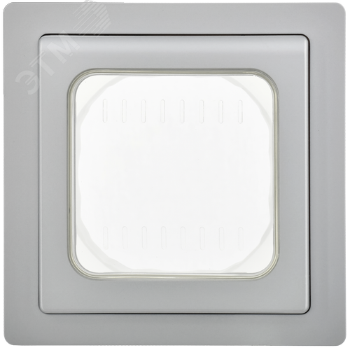 FLITE Рамка 1-местная IP55 Рпро-1-55-ФлА алюминий IEK - фото 4