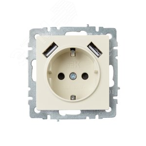 BRITE Розетка с заземлением с защитными шторками 16А с USB A+A 2,1А РЮш10-1-БрКр бежевый - фото 2