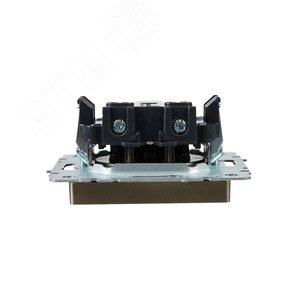 BRITE Розетка 1 пост без заземления с защитными шторками 10А РСш10-2-БрШ шампань IEK - фото 5