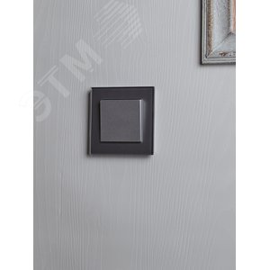 BRITE Рамка 1 пост РУ-1-2-БрСе стекло серый - фото 5