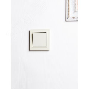 BRITE Выключатель одноклавишный 10А ВС10-1-0-БрКр бежевый - фото 7