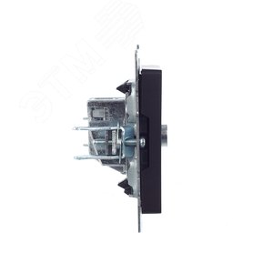 BRITE Розетка TV оконечная РТВ11-0-БрЧ черный - фото 3