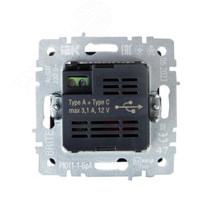 BRITE Розетка USB A+C 18Вт РЮ11-1-БрА алюминий - фото 4