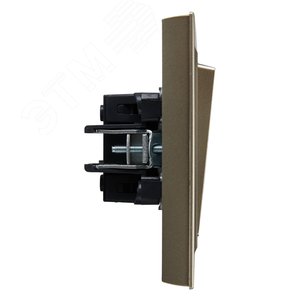 BRITE Выключатель двухклавишный 10А в сборе ВСР10-2-0-БрШ шампань IEK - фото 3