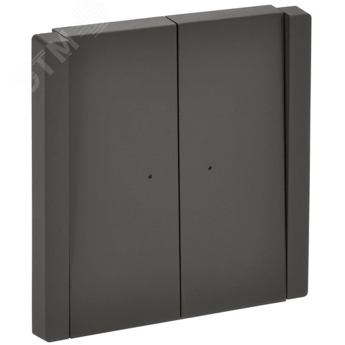 Изображение товара FORTE&PIANO Выключатель 2-клавишный с индикацией 10А FP306 серый IEK (шт)