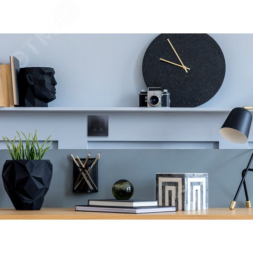 Выключатель 2-клавишный с подсветкой/индикацией 10А безвинтовое крепление антрацит ETIKA - фото 4