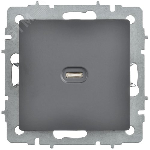 BRITE Розетка USB C 65Вт высокоскоростная зарядка РЮ12-1-БрГ графит IEK - фото 6