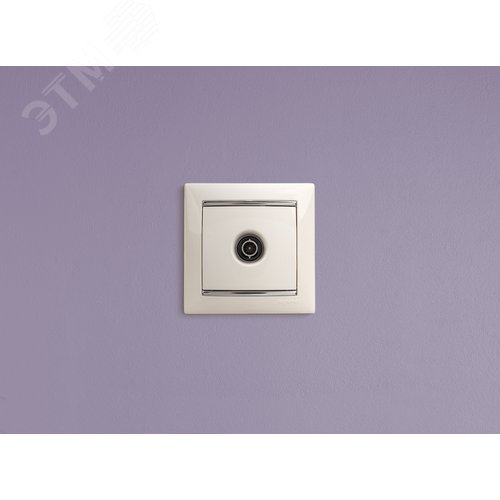 Розетка TV тип звезда белый VALENA - фото 6