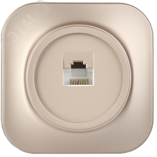 GLORY Розетка для открытой установки компьютерная RJ45 кат.5E РК10-ХШм шампань матовый IEK - фото 3