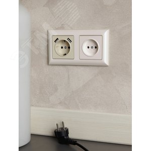 BRITE Розетка без заземления без защитных шторок 10А РС10-1-0-БрЖ жемчуг - фото 7