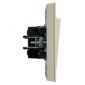 BRITE Выключатель двухклавишный 10А в сборе ВСР10-2-0-БрКр бежевый IEK - фото 3