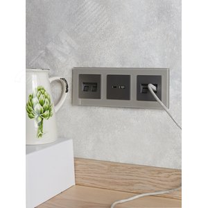 BRITE Розетка USB A+C 18Вт РЮ11-1-БрС сталь - фото 8