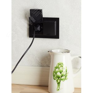 BRITE Розетка двойная с заземлением с защитными шторками и крышкой 16А в сборе IP44 РСбш12-3-44-БрЧ черный - фото 3