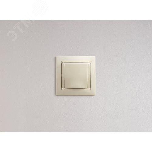 Розетка 1-местная с заземлением с защитными шторками и крышкой 16А IP20 слоновая кость VALENA - фото 10