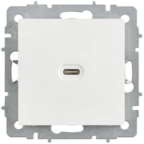 BRITE Розетка USB C 65Вт высокоскоростная зарядка РЮ12-1-БрБ белый IEK - фото 6