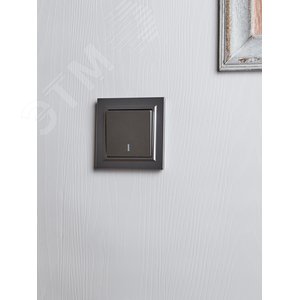 BRITE Выключатель одноклавишный проходной с индикацией 10А ВС10-1-7-БрС сталь IEK - фото 6