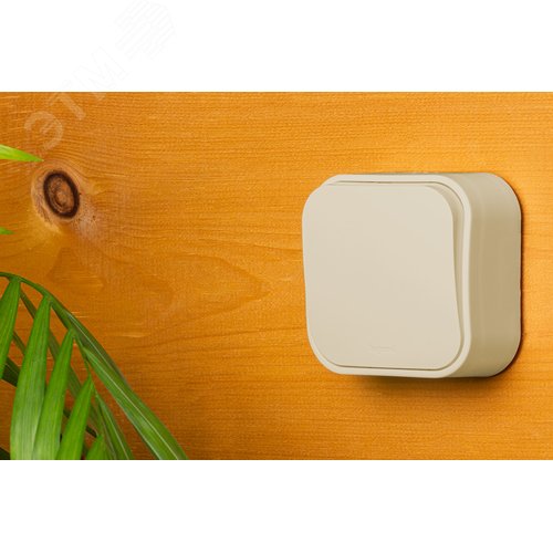 Выключатель 1-клавишный для открытой установки слоновая кость QUTEO - фото 3