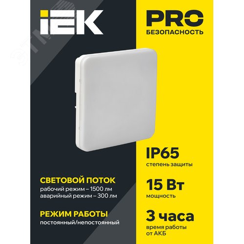 Светильник аварийный ДПА 5000-3 постоянного действия совместим с УДТУ 3 ч IP65 LIGHTING - фото 2