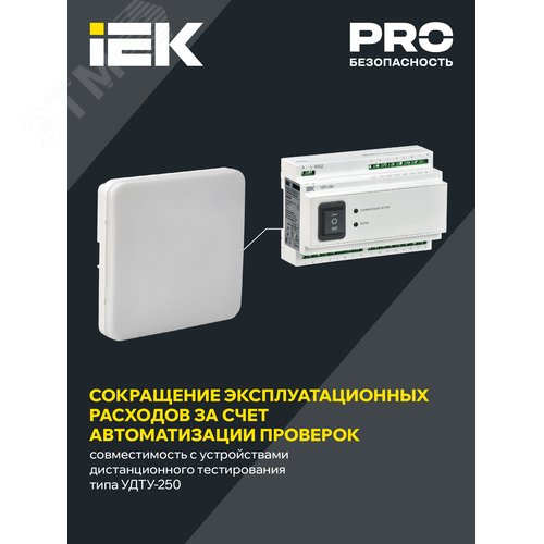 Светильник аварийный ДПА 5000-3 постоянного действия совместим с УДТУ 3 ч IP65 LIGHTING - фото 4