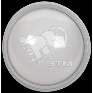 Светильник светодиодный ДБП-8w 4500К 540Лм круглый металлический IP54 серый