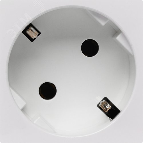 Розетка 45град с заземляющим контактом без защитной шторки и винтовым зажимом (2 модуля) белая - фото 2