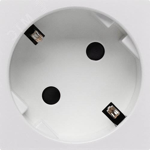 Розетка 45град с заземляющим контактом защитной шторкой и винтовым зажимом (2 модуля) белая - фото 2