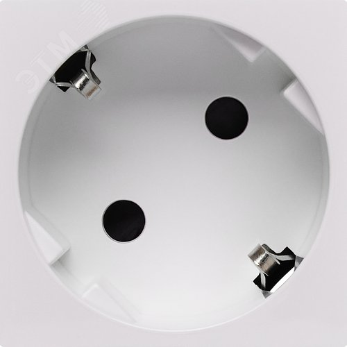 Розетка 45град с заземляющим контактом защитной шторкой и безвинтовым зажимом (2 модуля) белая - фото 2