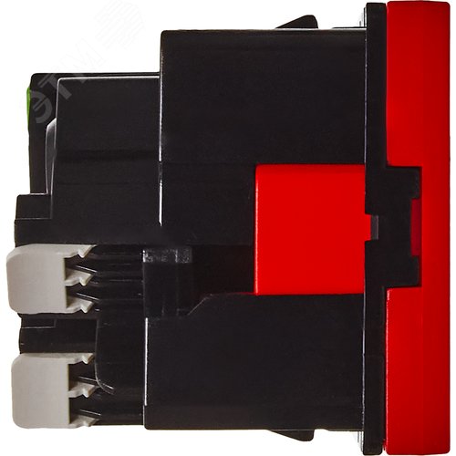 Розетка 45град с заземляющим контактом без защитной шторки и безвинтовым зажимом (2 модуля) красная - фото 3