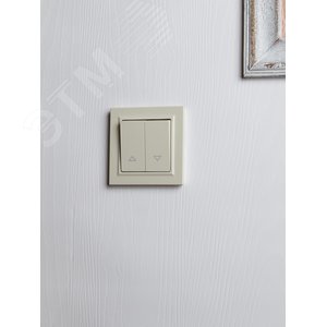 BRITE Выключатель жалюзи 10А ВС10-1-5-БрКр бежевый - фото 7