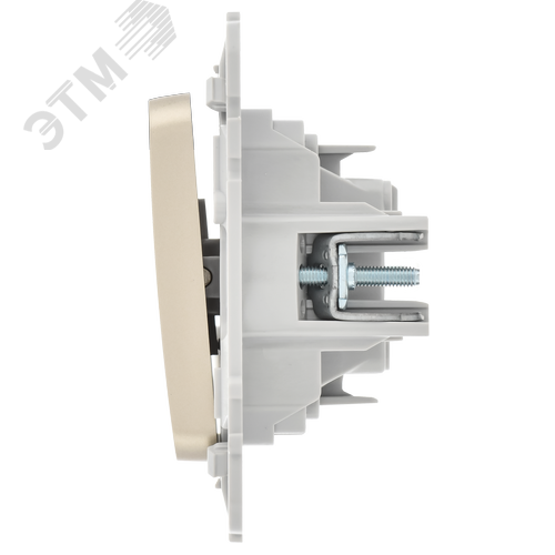 FLITE Выключатель 1-клавишный 10А ВС11-1-0-ФлШ шампань IEK - фото 6