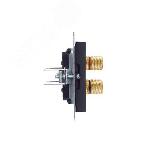 BRITE Аудиорозетка 4 поста РА10-БрГ графит - фото 3