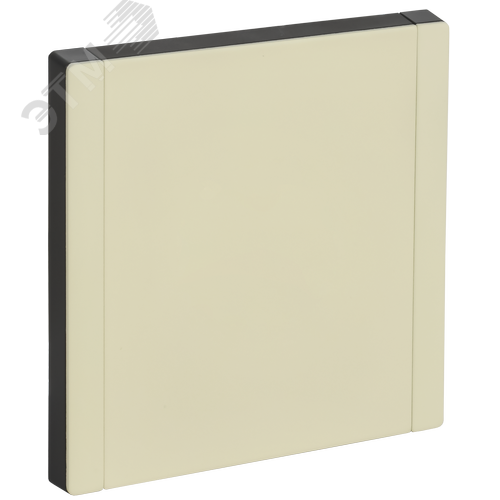 Изображение товара FORTE&PIANO Заглушка с суппортом FP841M металл слоновая кость IEK (шт)