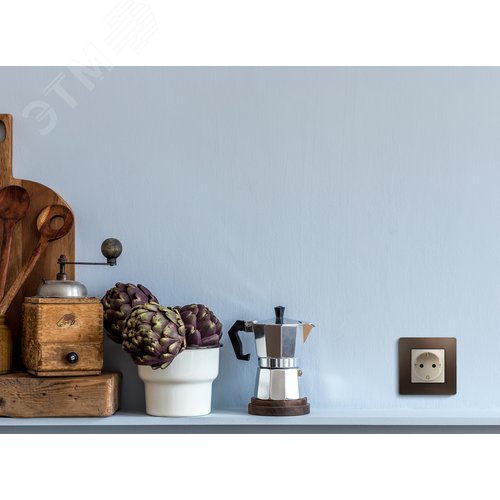 Розетка 1-местная с заземлением с защитными шторками 16А слоновая кость ETIKA - фото 6