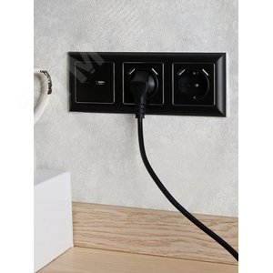 BRITE Розетка с заземлением с защитными шторками 16А с USB A+A 3,1А РЮш10-2-БрЧ черный - фото 7