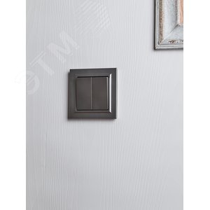 BRITE Выключатель двухклавишный 10А в сборе ВСР10-2-0-БрС сталь IEK - фото 6