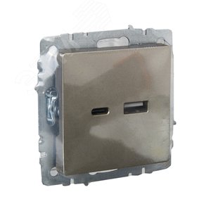 BRITE Розетка USB A+C 18Вт РЮ11-1-БрШ шампань - фото 6