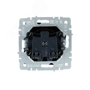 BRITE Розетка без заземления без защитных шторок 10А РС10-1-0-БрШ шампань - фото 4